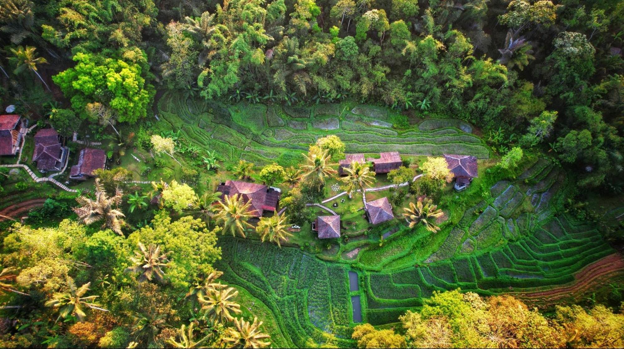 자띠루위 Oemah Tepi Sawah 빌라 외부 사진
